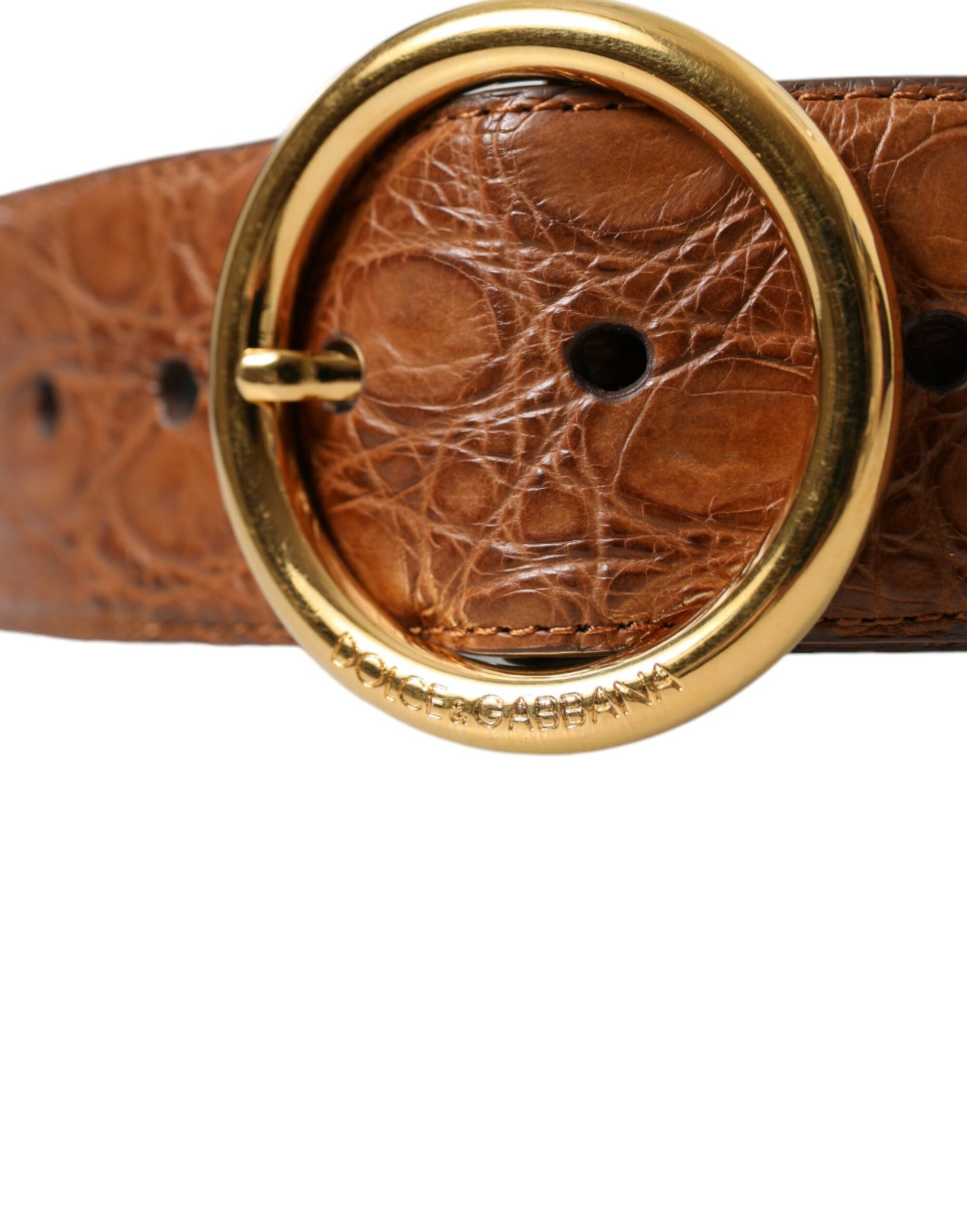 Dolce & Gabbana Brown Exotic Leather Round Buckle Belt