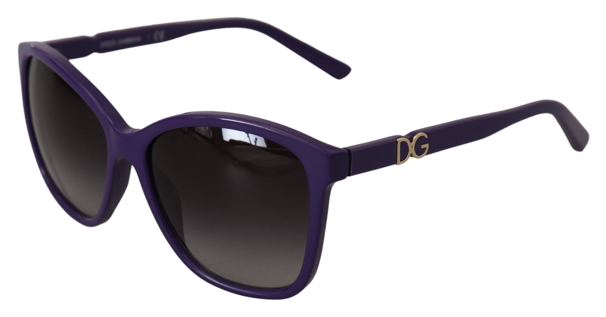 Violet Acetate Frame Round Shades DG4170M Sunglasses