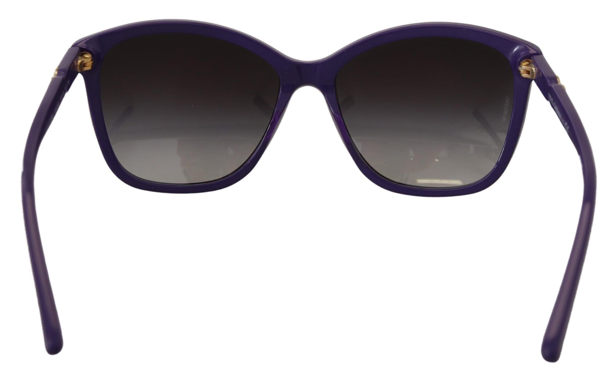 Violet Acetate Frame Round Shades DG4170M Sunglasses