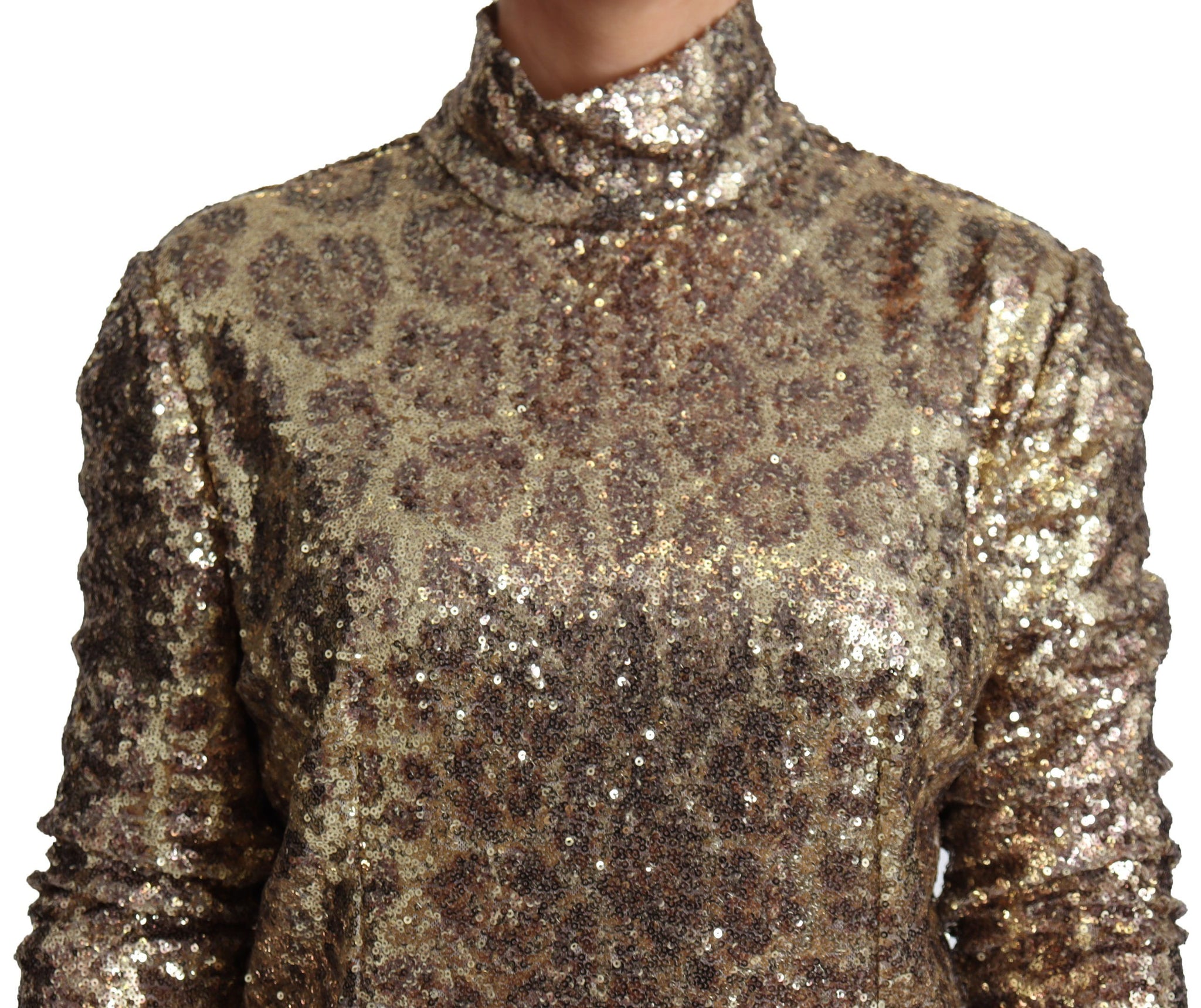 Brown Leopard Fit Turtleneck Sequin Sweater