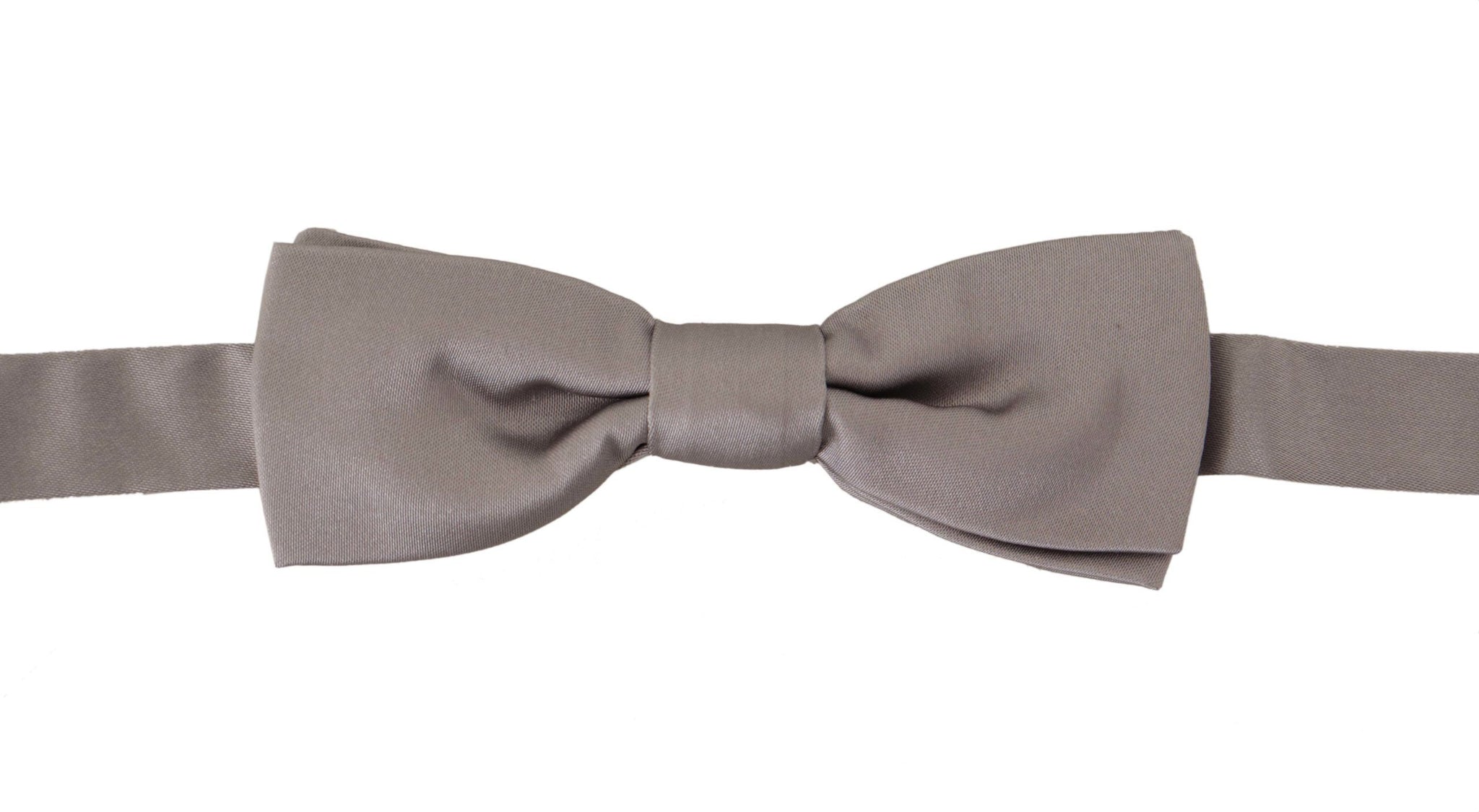 Silver 100% Silk Slim Adjustable Neck Papillon Tie